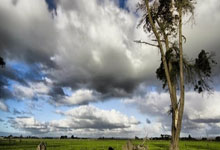 开云APP-黄黑风暴骤停？两连败背后的危机与逆袭密码