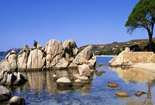 开云下载-安达卢西亚雄狮震撼欧洲！塞维利亚告捷直逼欧冠区