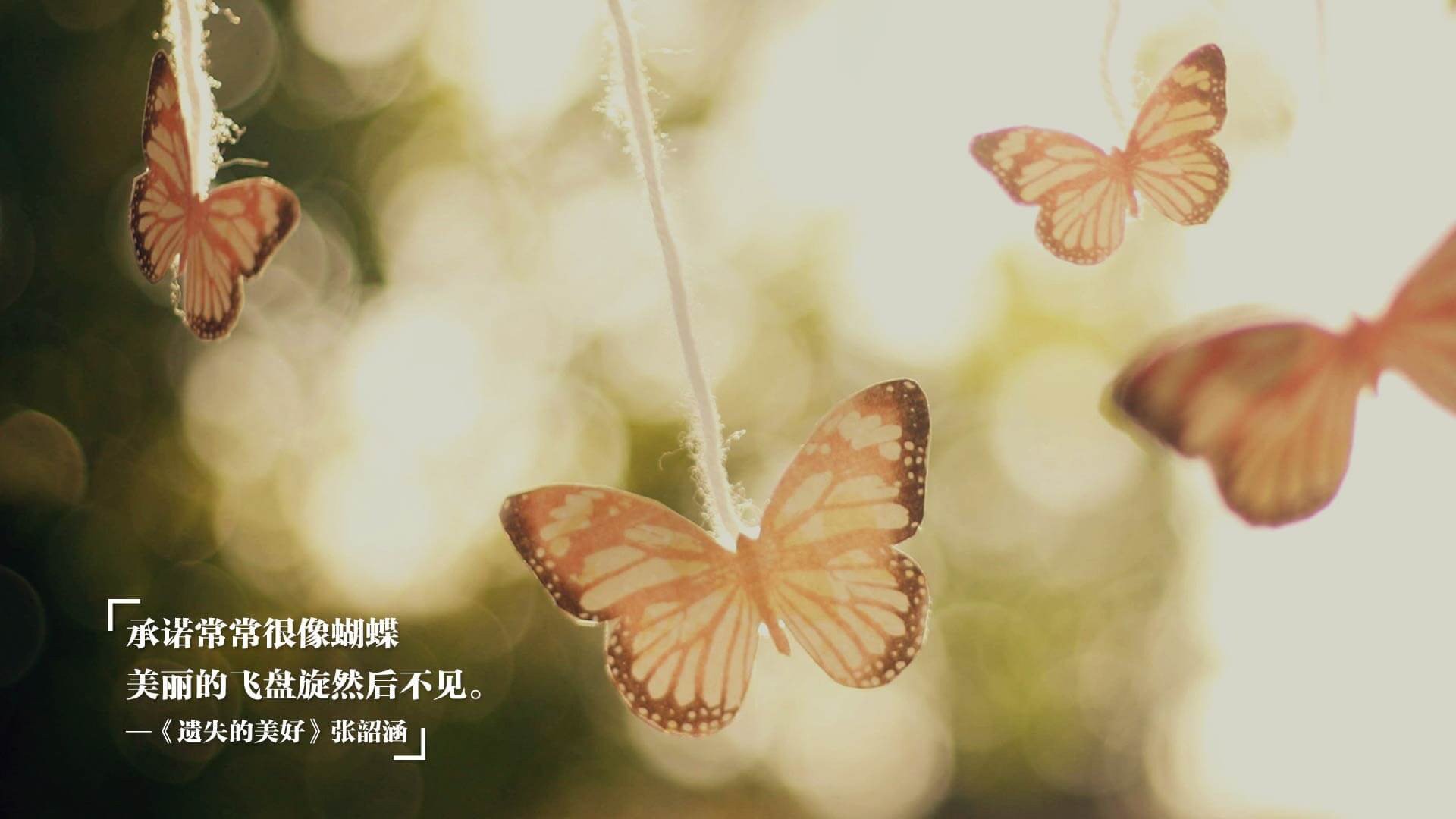 绿茵场与硬木地的共鸣,西甲国家德比焦点战与魔术绝杀步行者的体育启示