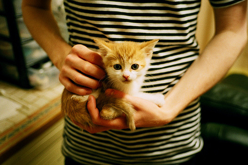 开云APP-双线冲刺！德甲争冠白热化 湖人魔法冲垮魔术