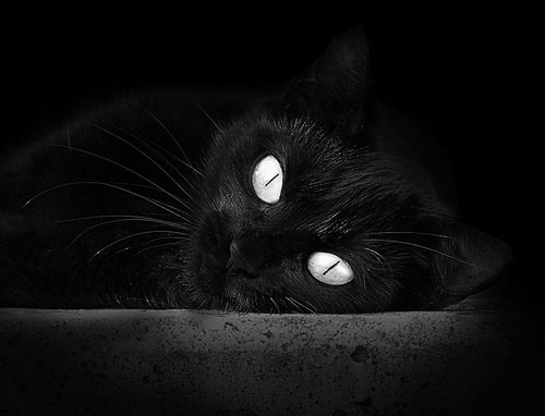 F1年度争冠焦点战,公牛带走掘金的启示