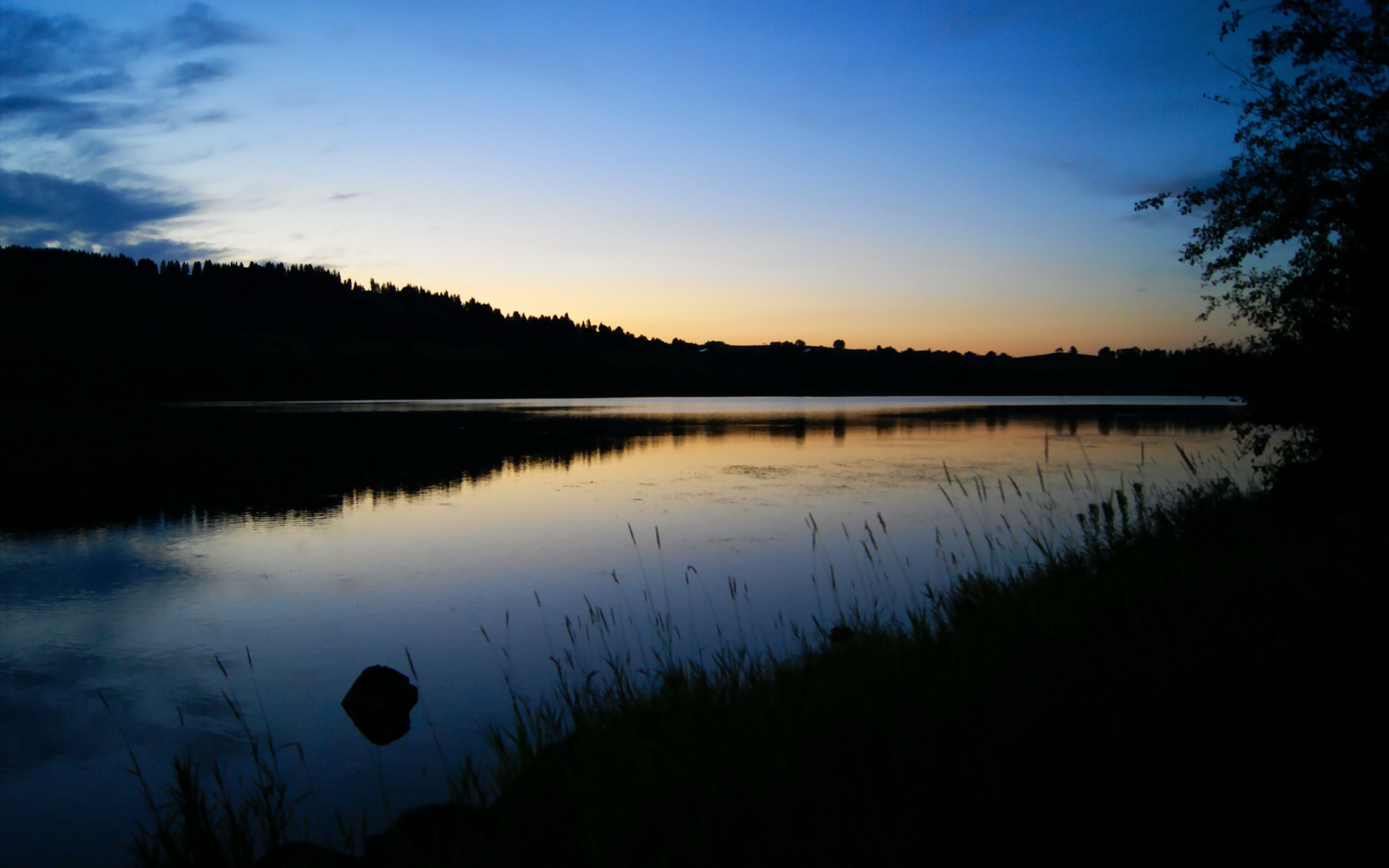 开云官网-鹈鹕掀翻掘金高原堡垒，小贾伦·杰克逊化身关键先生