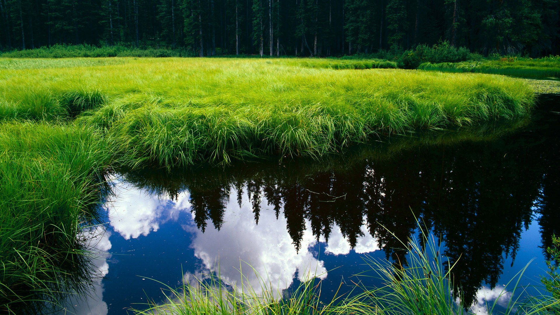 开云体育平台APP-惊天逆转！非洲雄鹰绝境翻盘塞维利亚，劳塔罗梅开二度成关键先生