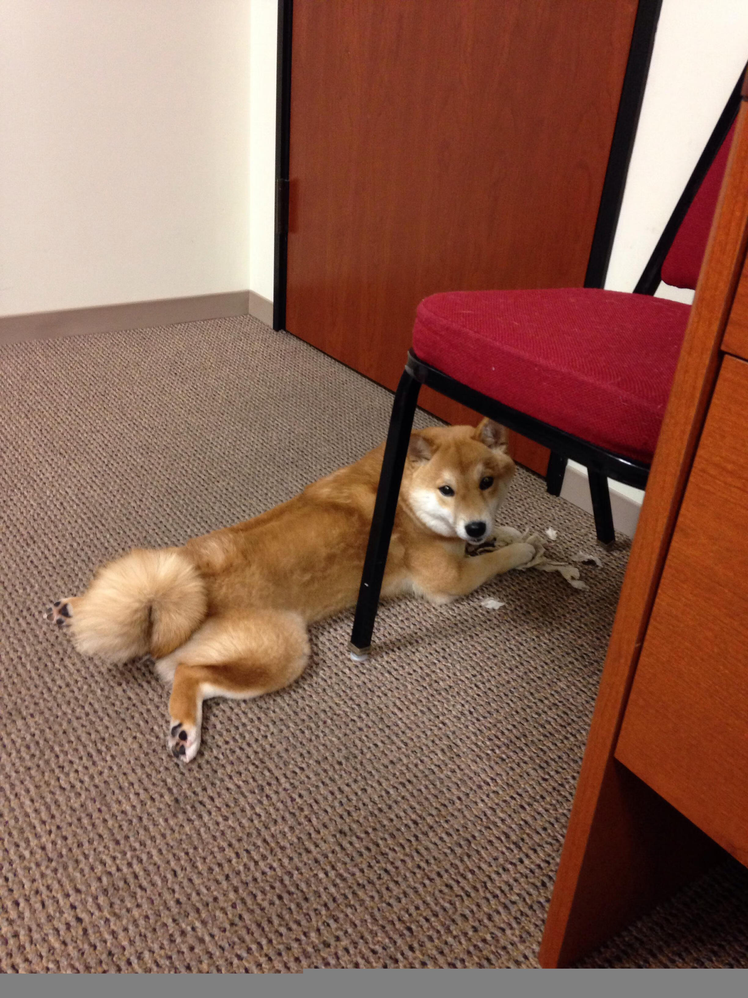 鹈鹕巨浪粉碎马刺稚嫩防线，字母哥里程碑铸就王者之路