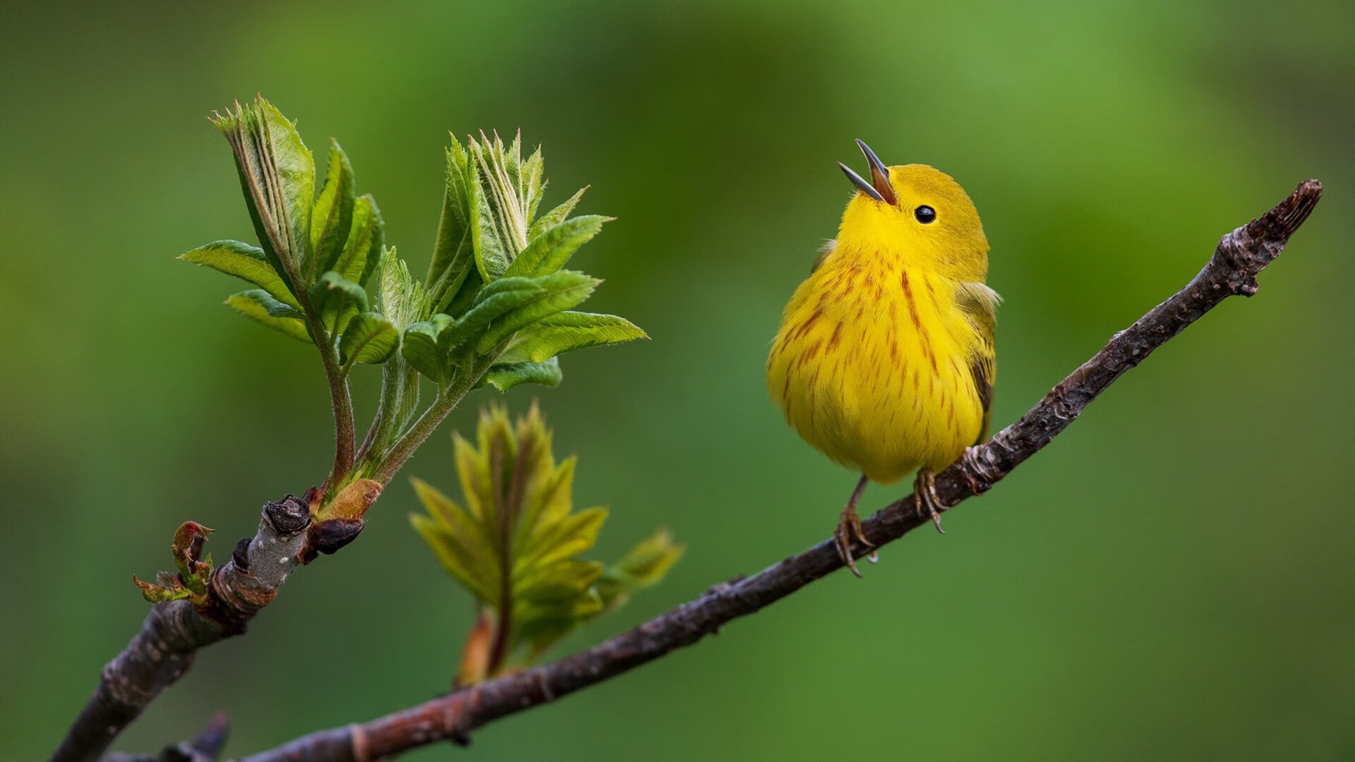 开云体育登录-萨拉赫爆发与塞维利亚的战术压制，足球世界的双重奏