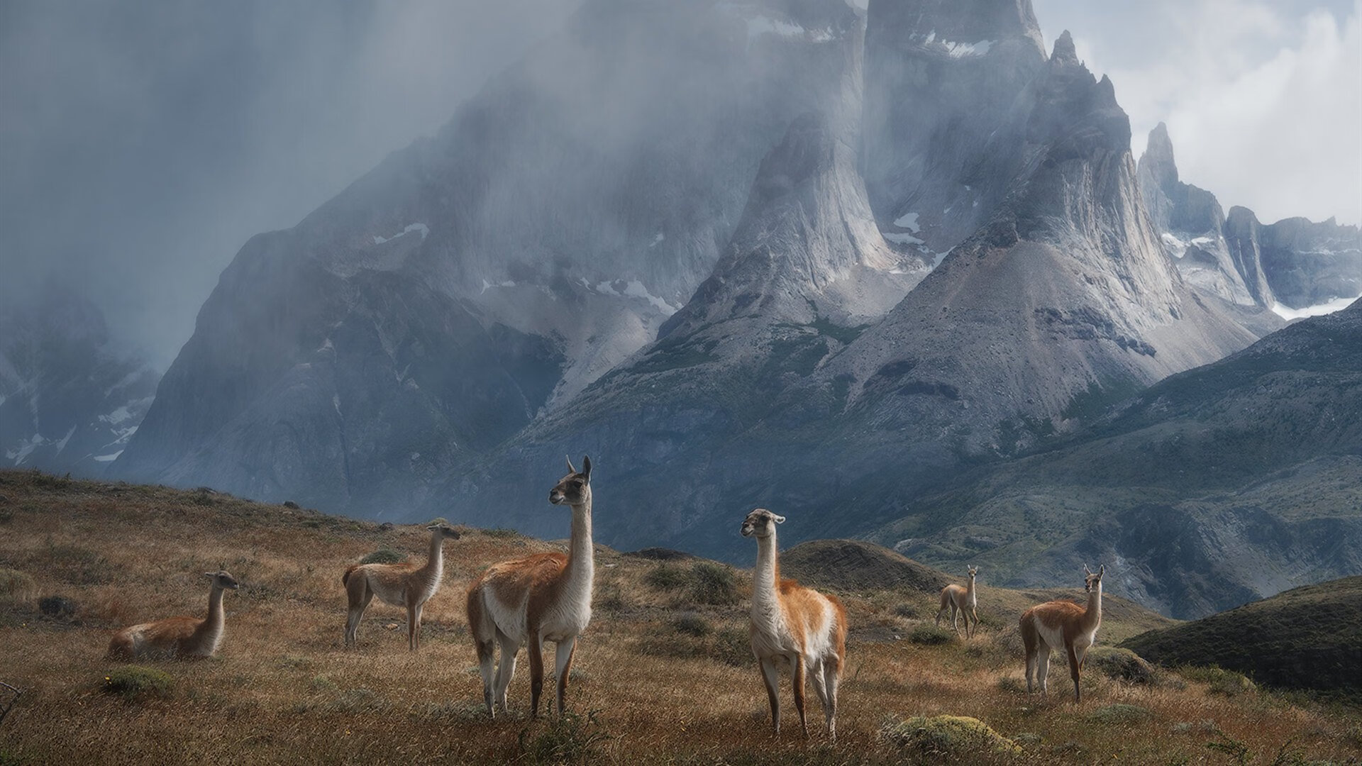 伯纳乌的寂静与篮球神的脚步