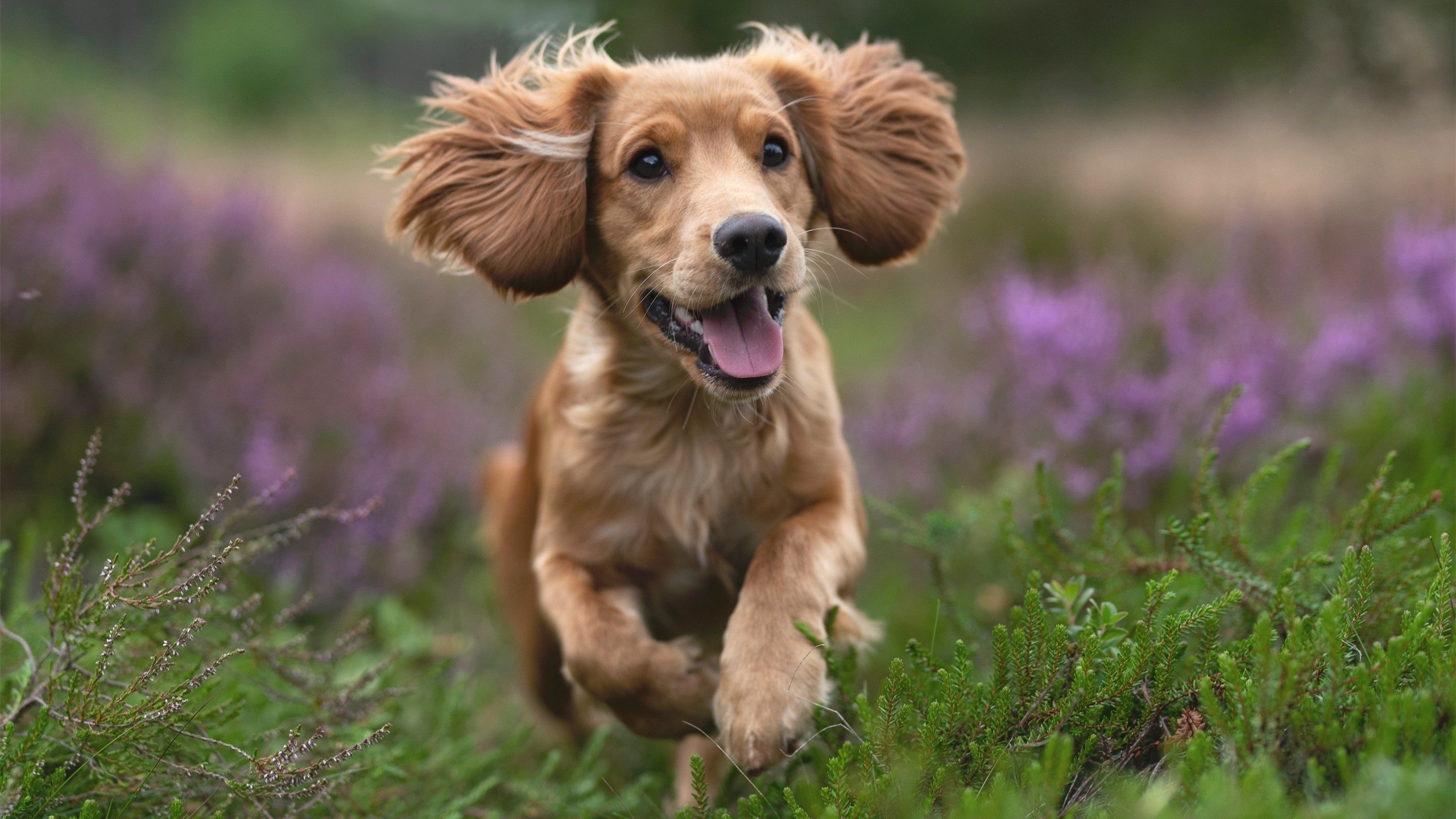 开云APP-绝杀与接管，伟大时刻的共同底色