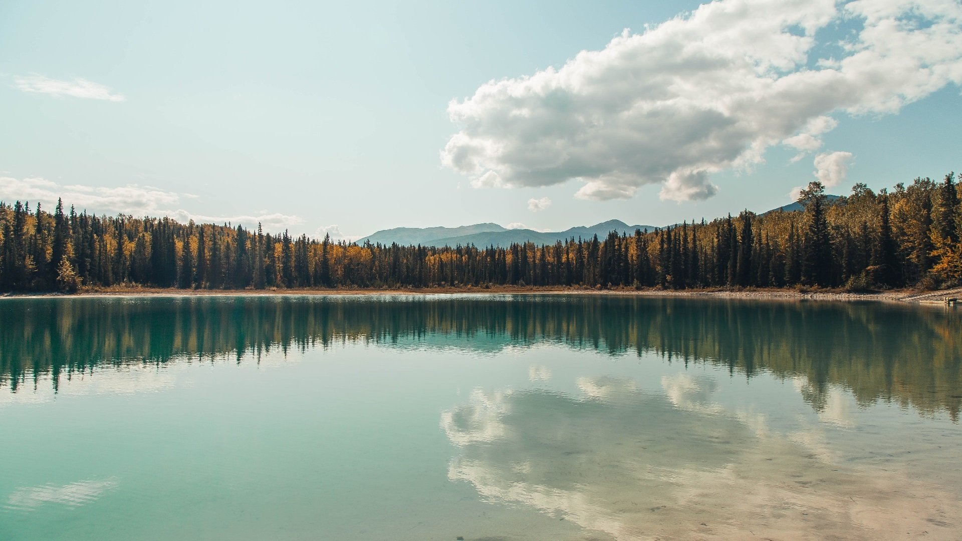 洪都拉斯对阵马德里竞技，绿茵天平上，为何穆勒式硬仗之王弥足珍贵？