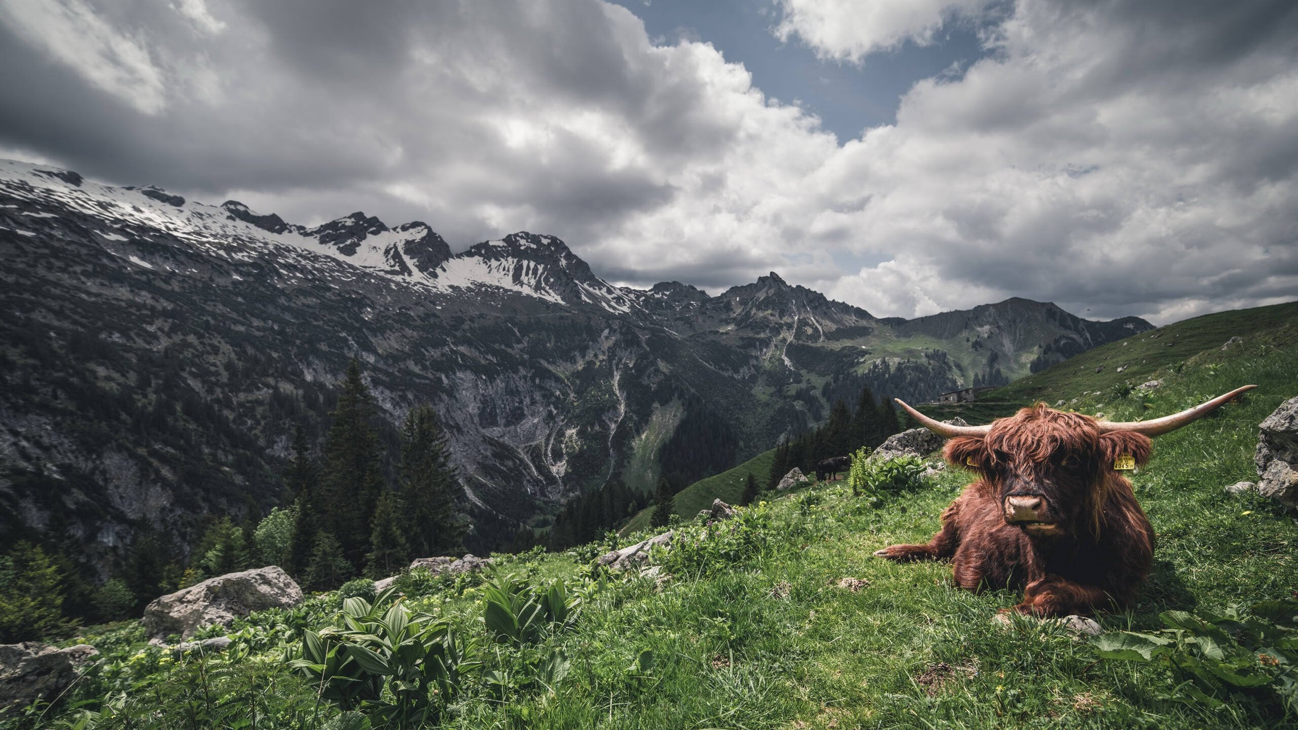 开云体育入口-赛道与绿茵，当F1争冠时速遇上希腊神话的黄昏突围