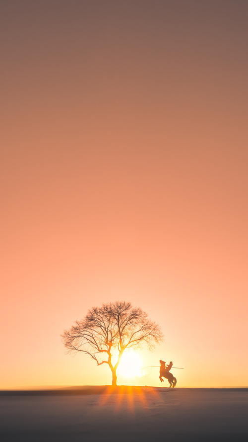 篮网强势晋级雄鹿，詹姆斯用实力证明自己，季后赛的双星闪耀