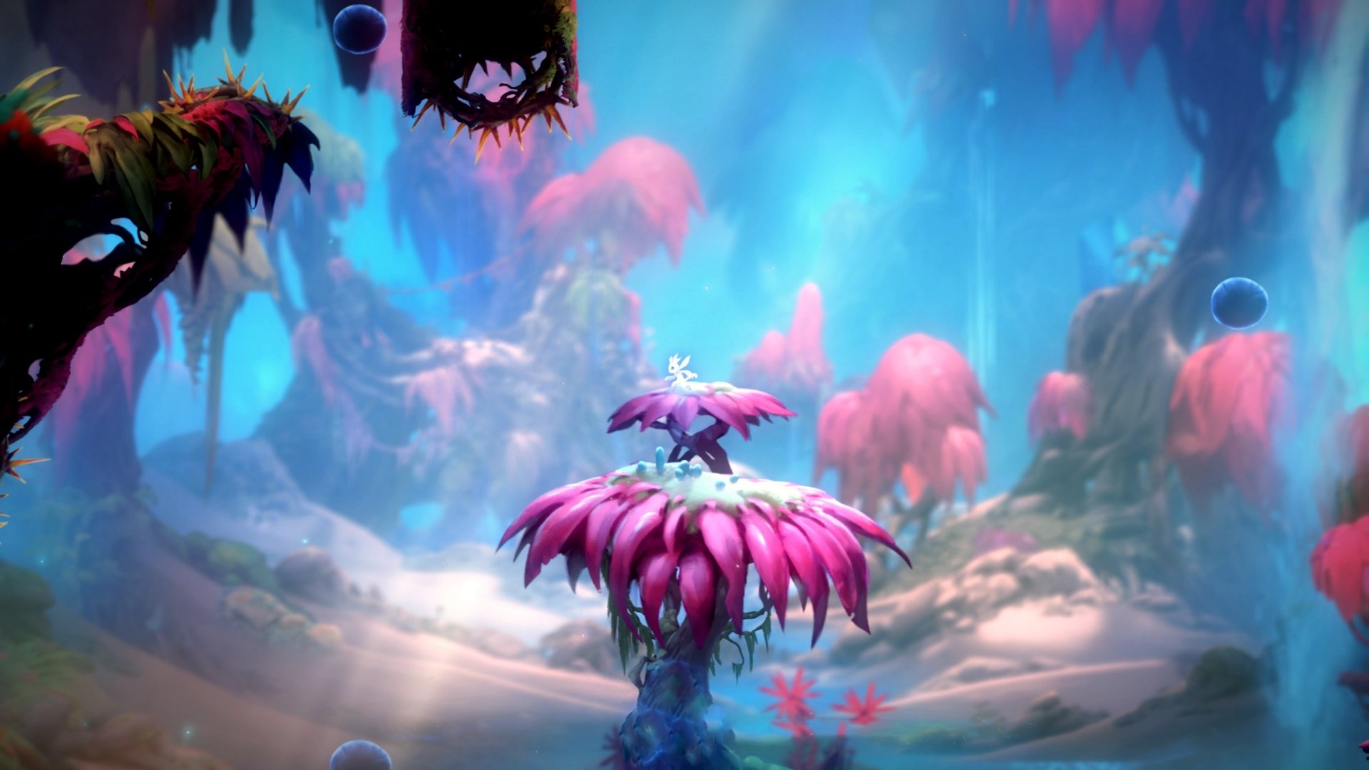 红魔亮剑,马里战场,当足球的悬念终结照见真实战场的关键战不手软