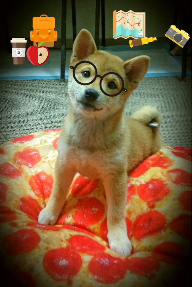 北欧风暴席卷赛场，当芬兰一波带走的意志照亮NBA季后赛的战争