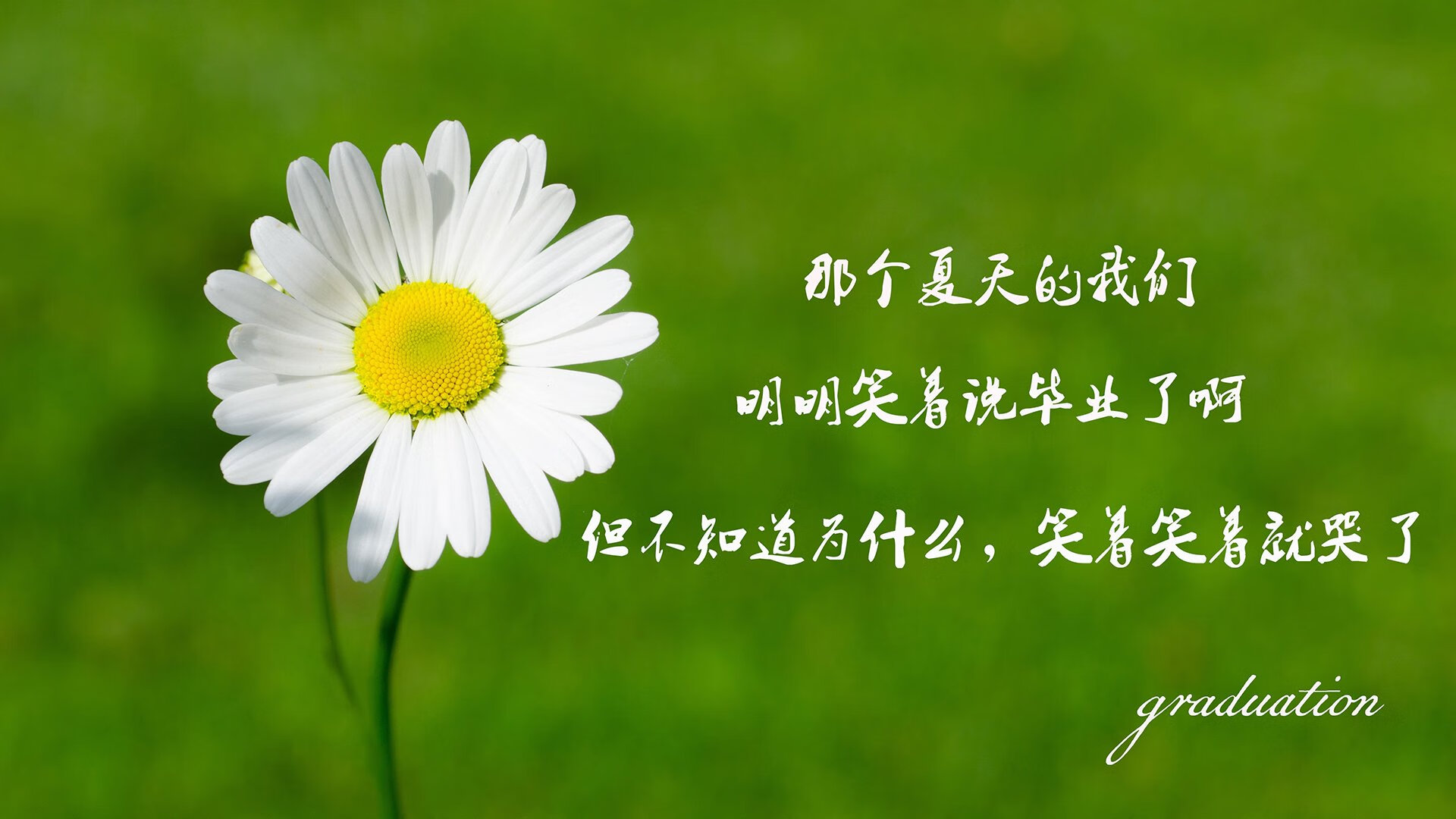 2026世界杯G组关键战,伊朗横扫越南,哈基米运筹帷幄,战术完美奏效