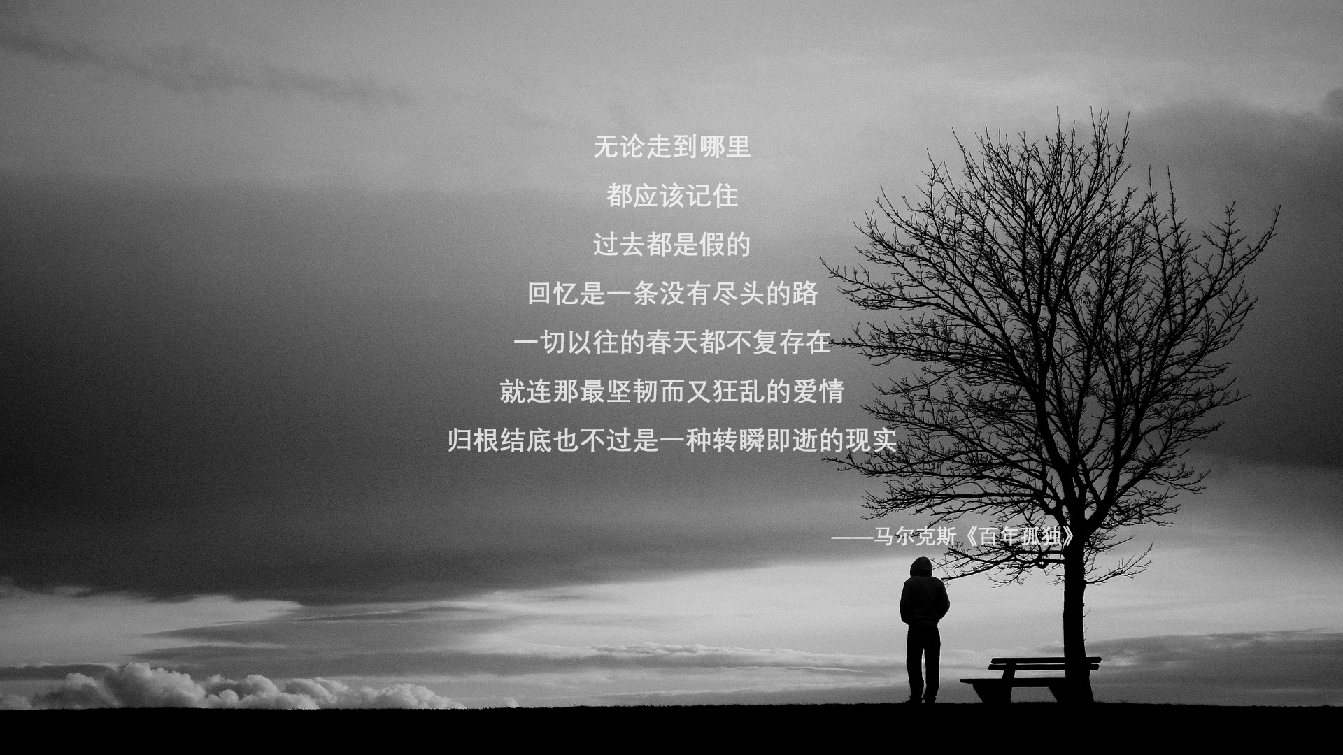 南美劲旅崛起—2026世界杯焦点战,哥伦比亚力克德国,孙兴慜带队上演亚洲荣耀