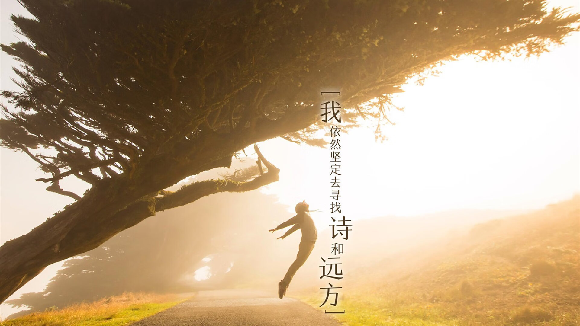 橙色风暴席卷非洲雄狮,2026世界杯H组焦点战,荷兰3-1击败喀麦隆,萨卡惊艳全场